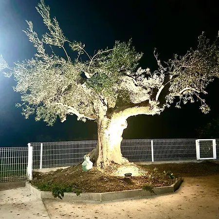 Willa Casa Helena Tavira