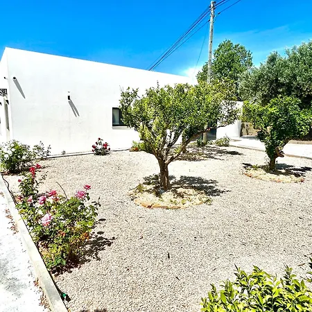 Casa Helena Tavira