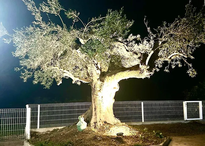 Villa Casa Helena Tavira